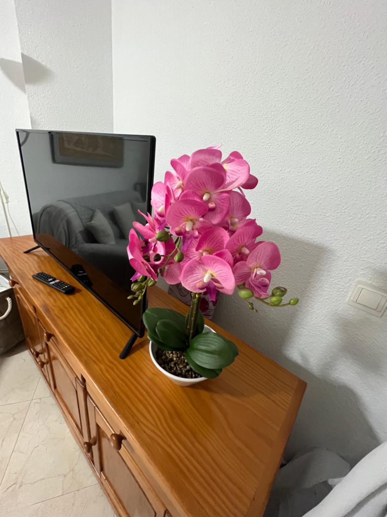 טורוקס Estudio Mar En Calma, Primera Linea De Playa Con Vistas Al Mar מראה חיצוני תמונה